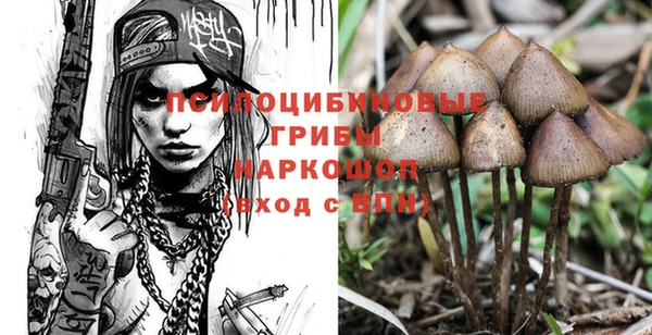 СК Бронницы