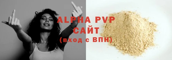СК Бронницы