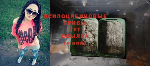 СК Бронницы