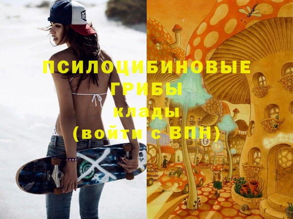 синтетический гашиш Богородицк